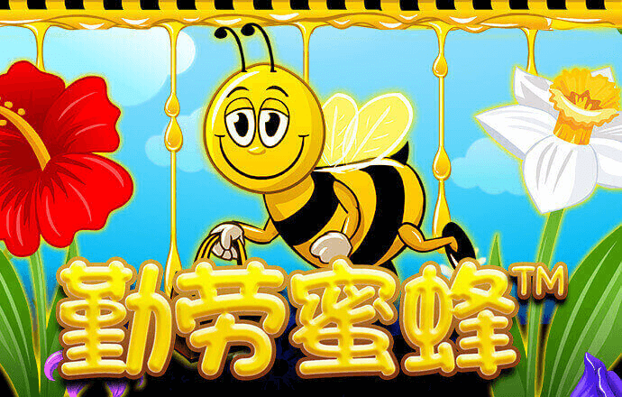 亚美体育下载app